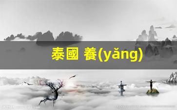 泰國 養(yǎng)老簽證 銀行卡(泰國的養(yǎng)老簽證)